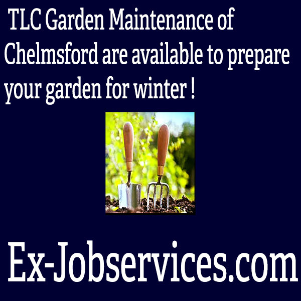 TLC Garden Maintenance in Chelmsford/essex ExJob